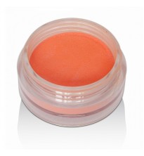 Akrilo pudra  "Neon Orange powder" 